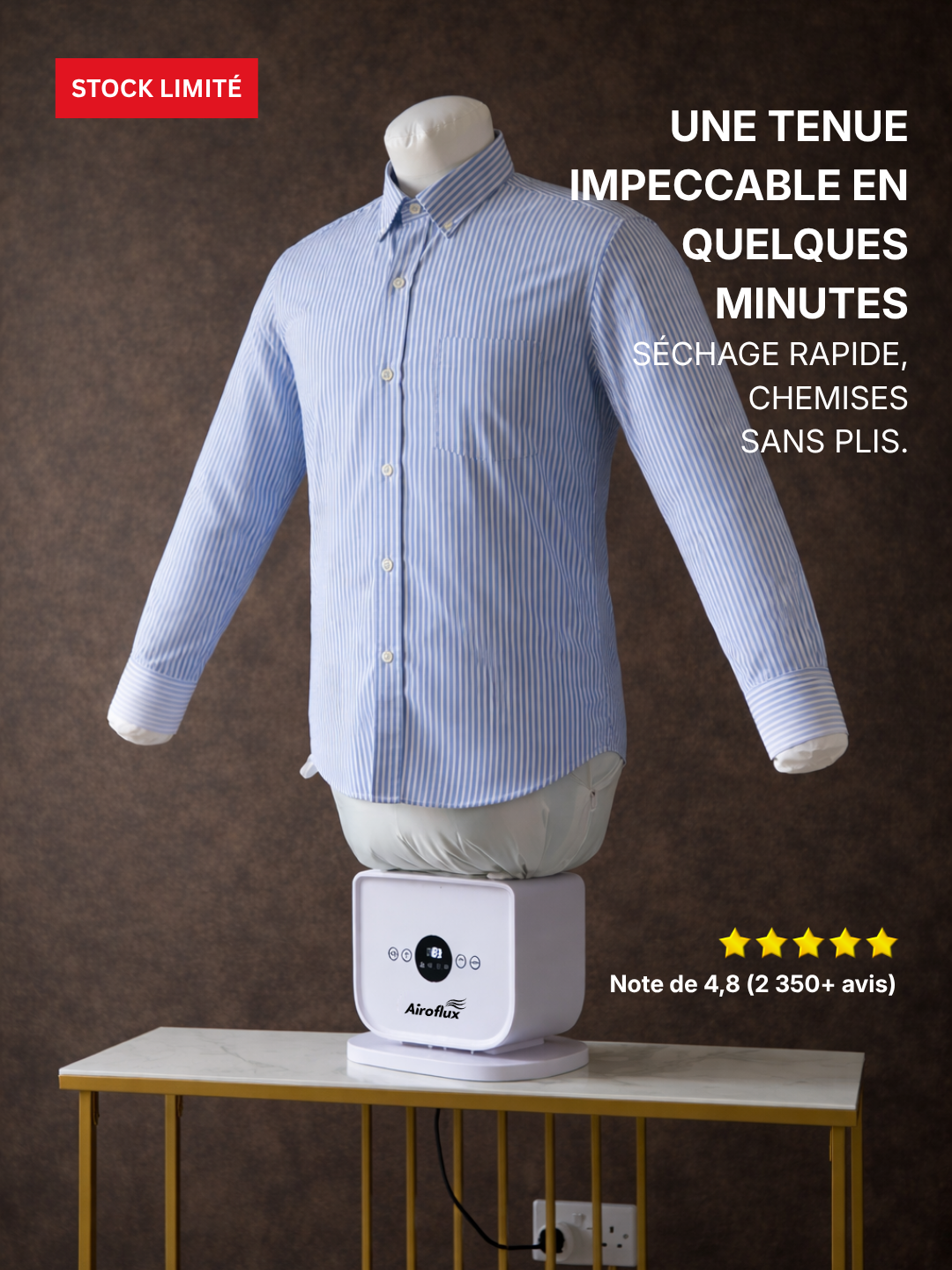 Machine à Repassage Automatique