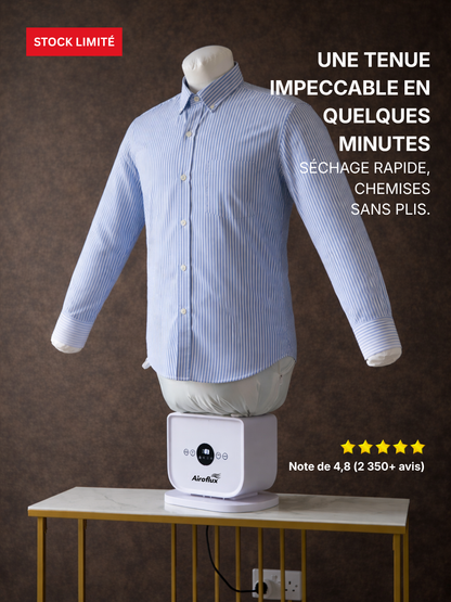 Machine à Repassage Automatique