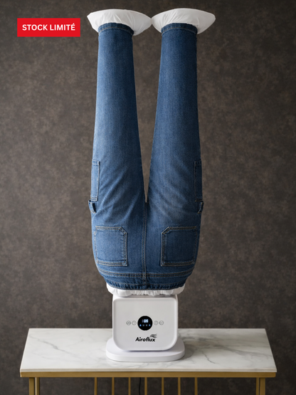 Machine à Repassage Automatique